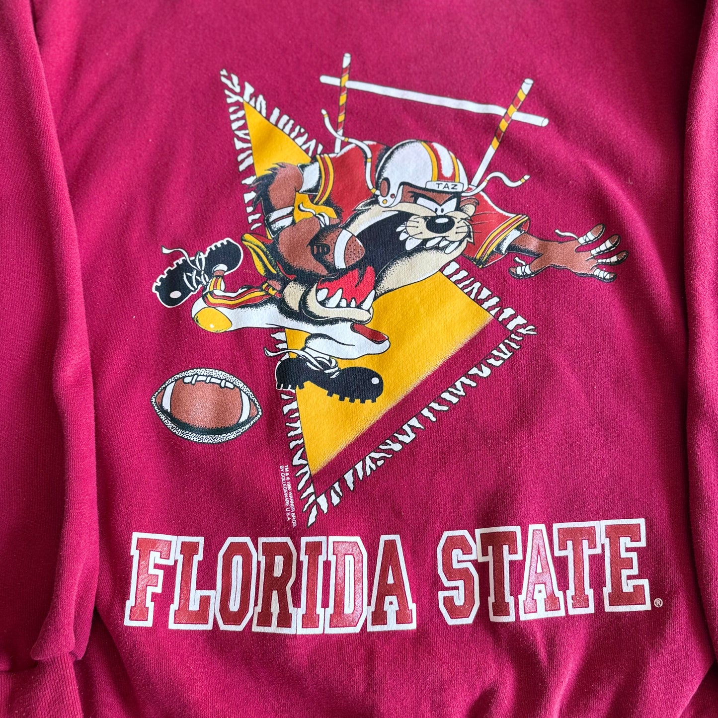 FSU Taz Sweatshirt