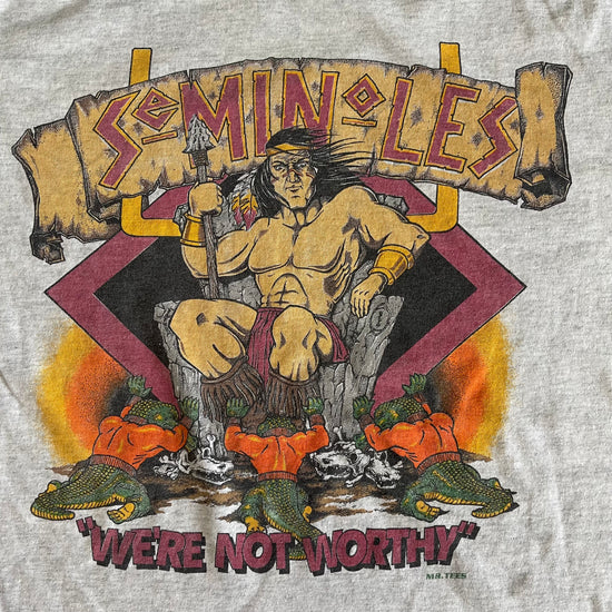 Seminoles vs Gators Mr. Tees Shirt