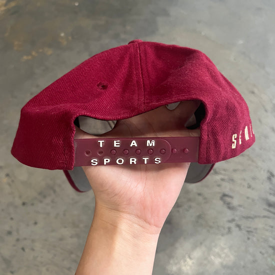 FSU Nike Team Sports Hat