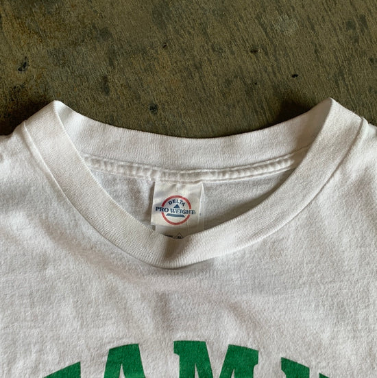 FAMU Delta Shirt - M