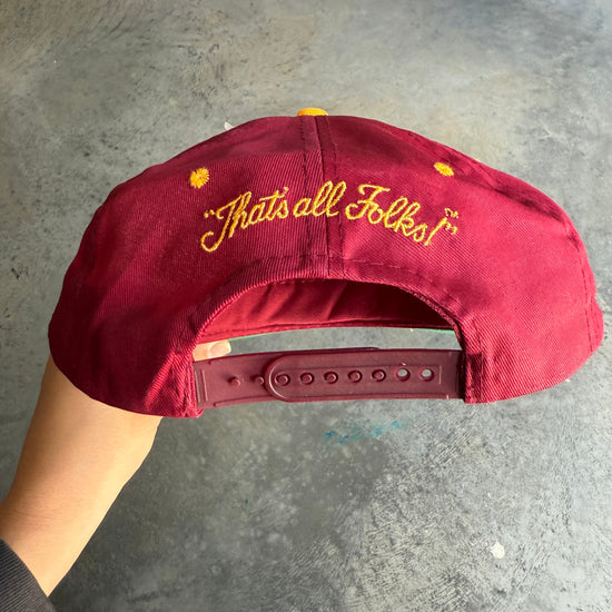 FSU Taz That's All Folks Hat