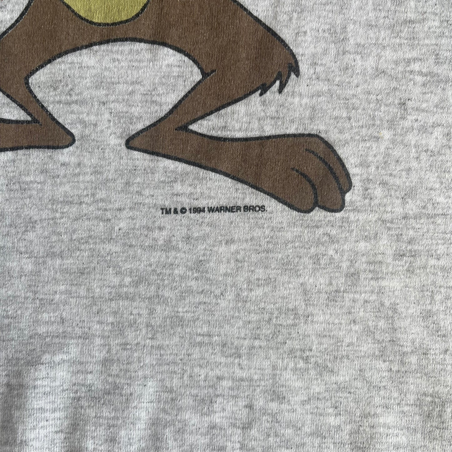FSU Taz Shirt