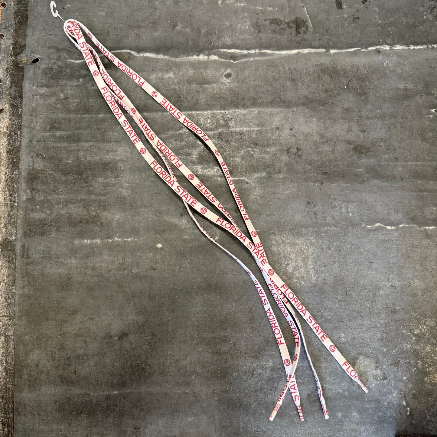 Florida State Shoelaces