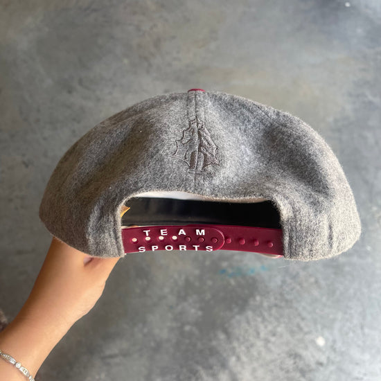 FSU Nike Swoosh Team Sports Hat