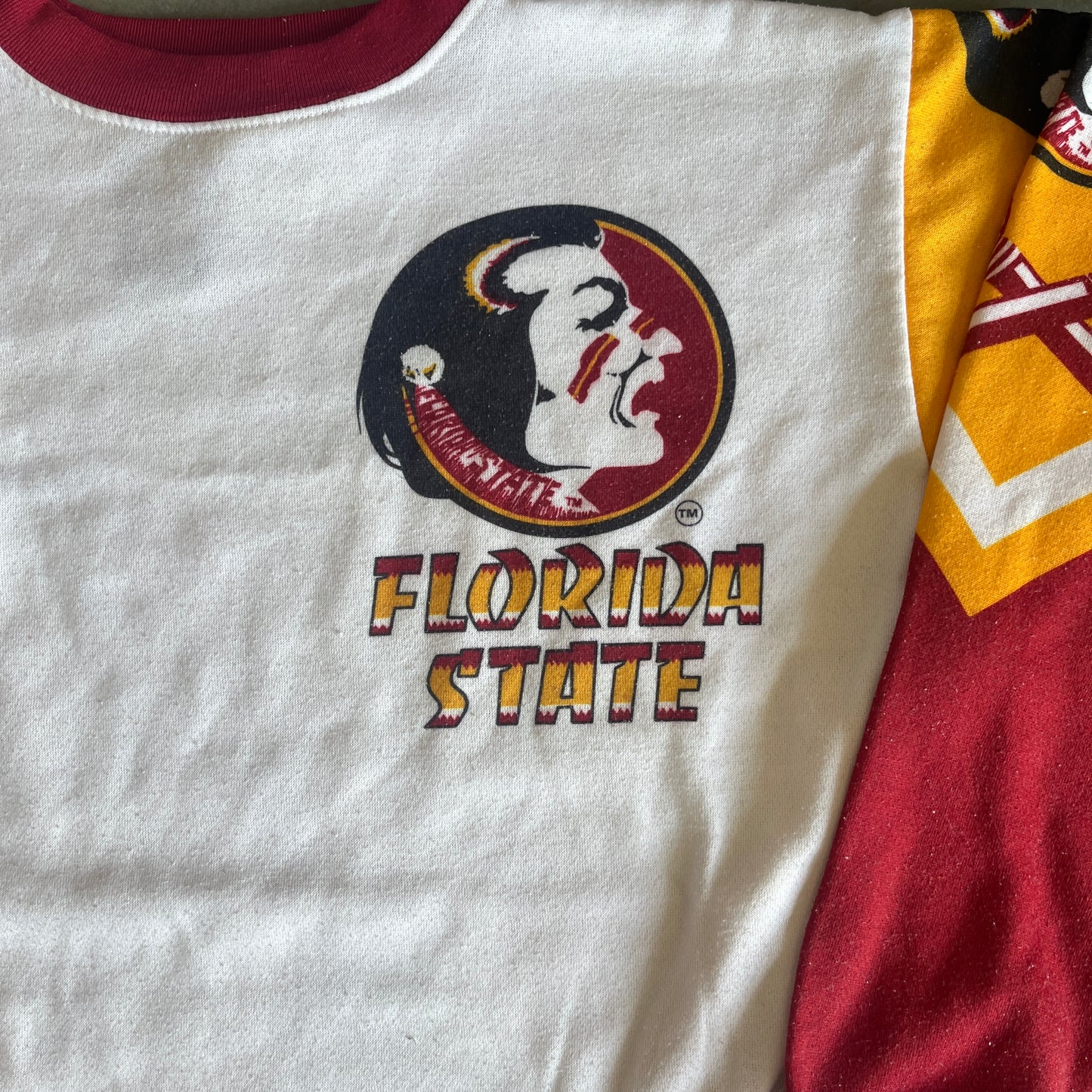FSU Fanimation Sweatshirt