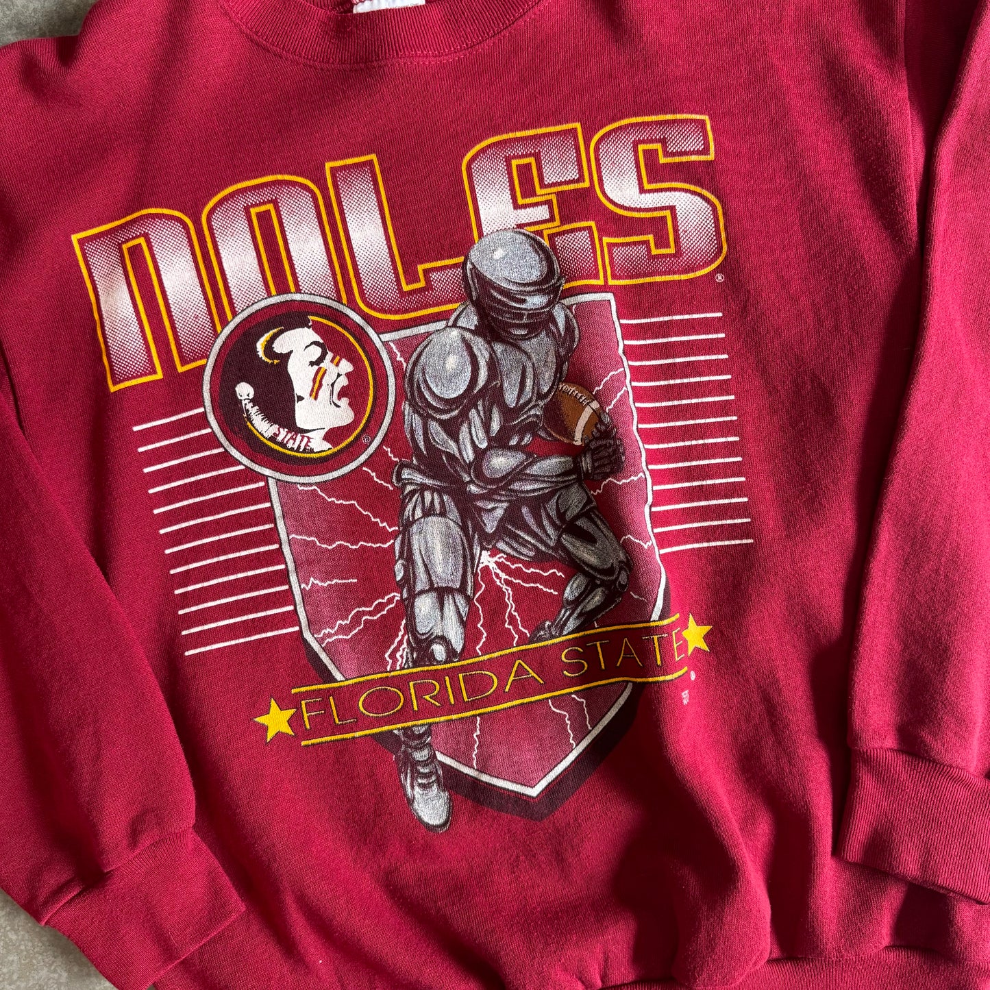 FSU Tultex Sweatshirt