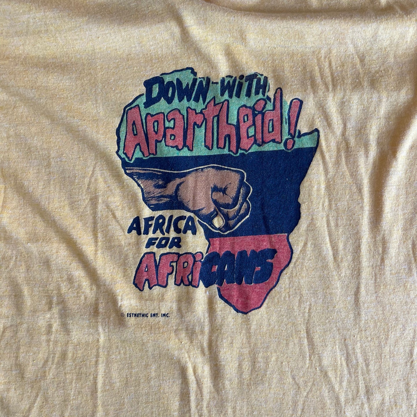 Down With Apartheid Shirt