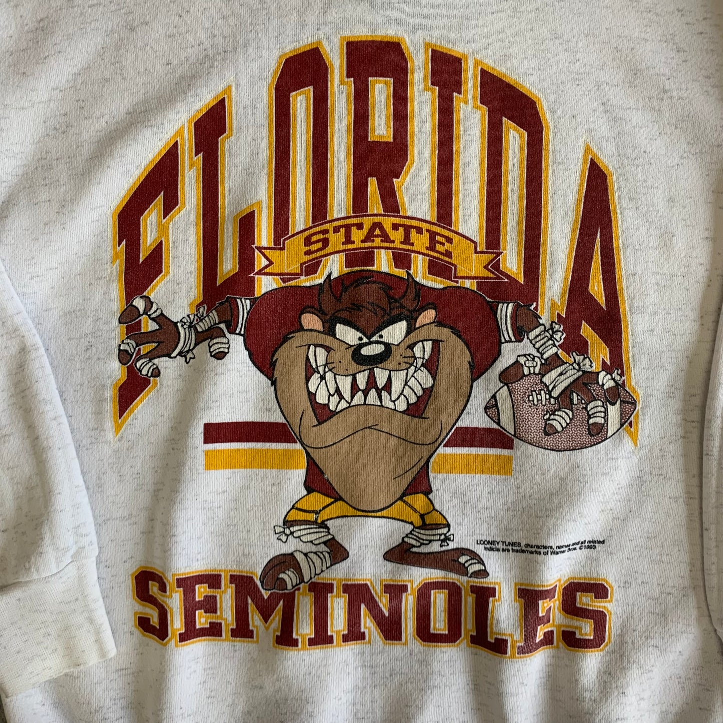 FSU Taz Sweatshirt