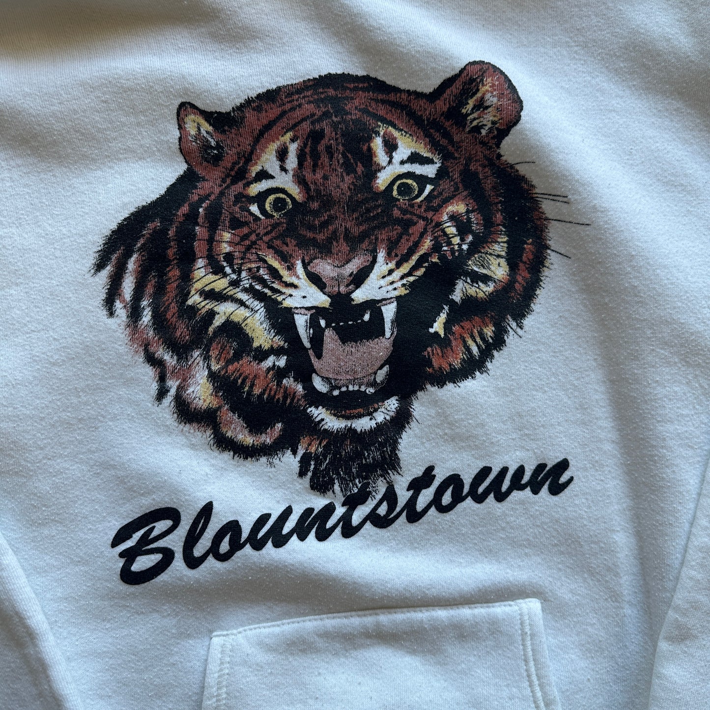 Blountstown High School Hoodie