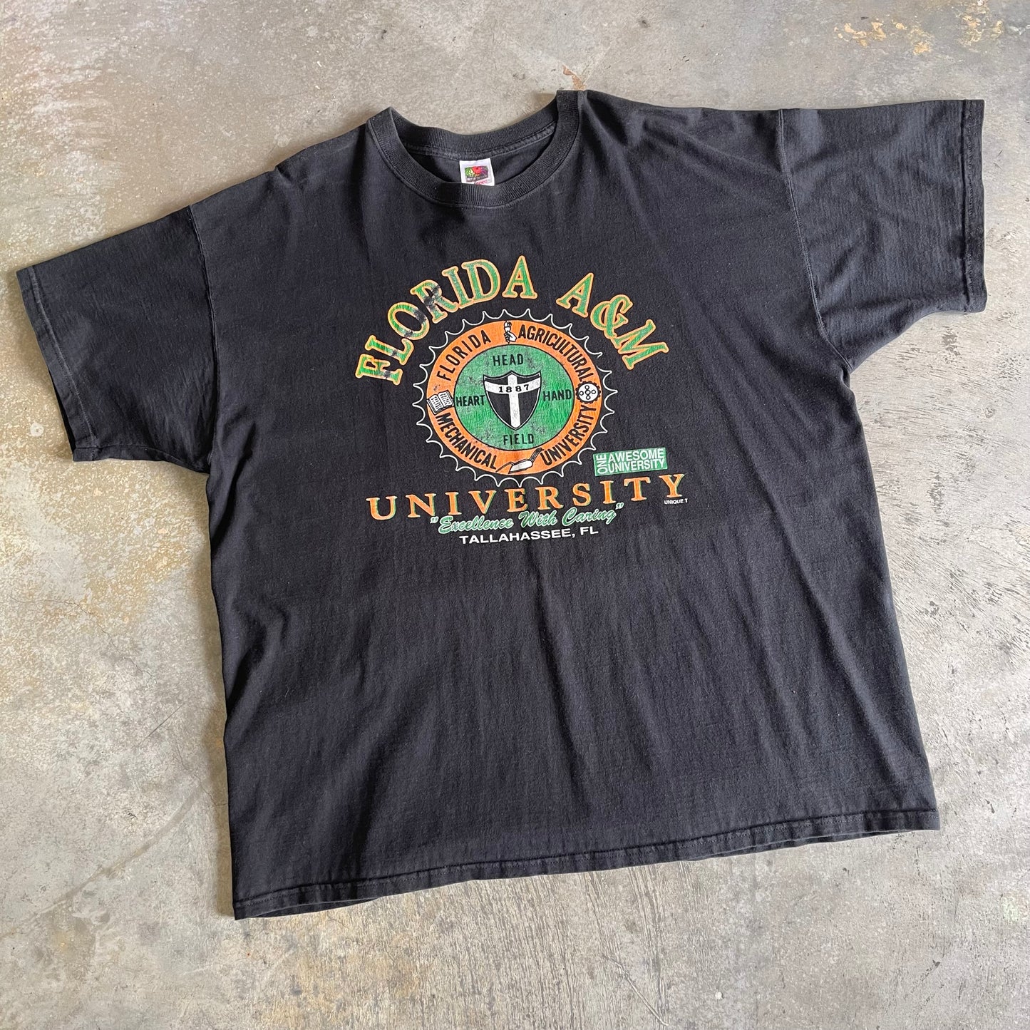 FAMU Excellence With Caring Shirt