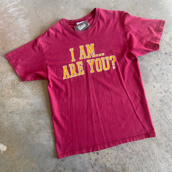 I'm a Seminole Booster Shirt