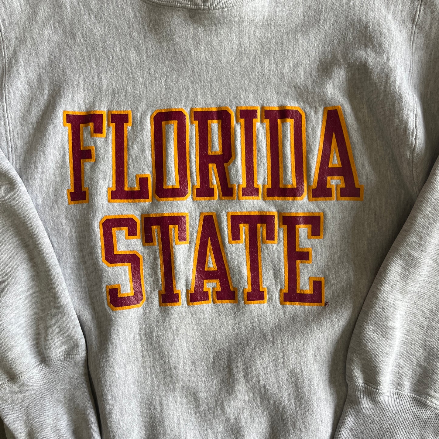 FSU Champion Sweatshirt