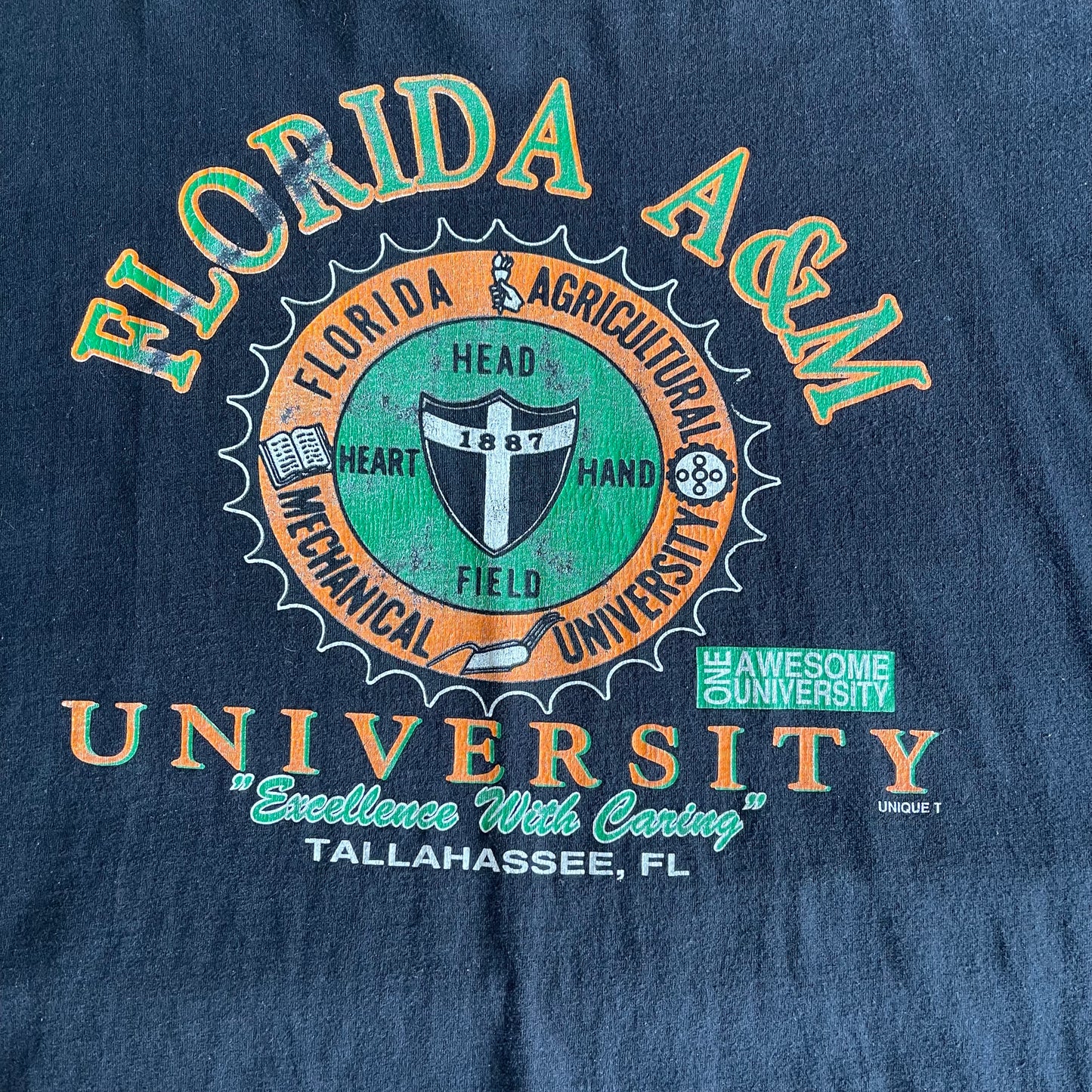 FAMU Excellence With Caring Shirt