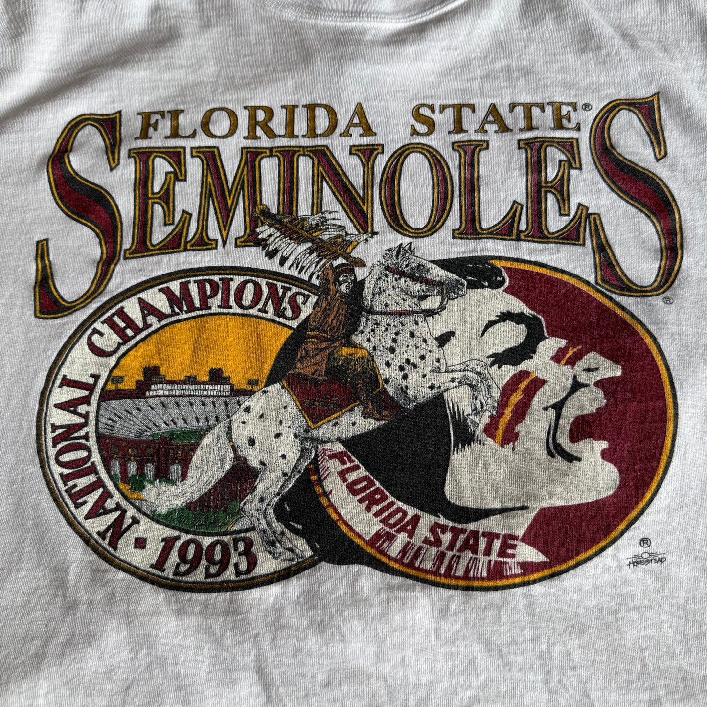 FSU Renegade 1993 National Champs Shirt