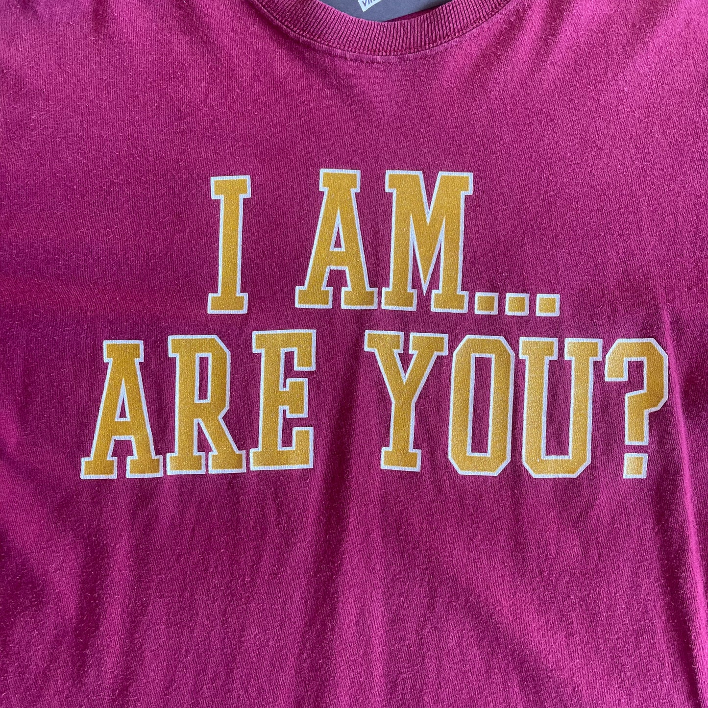 I'm a Seminole Booster Shirt