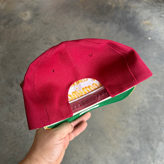 FSU Sports Specialties Double Line Script Hat NWT