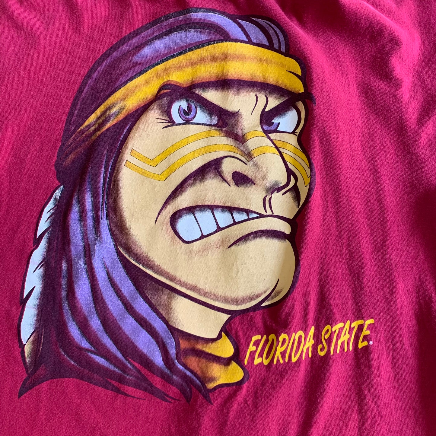 Florida State Hoodie Shirt