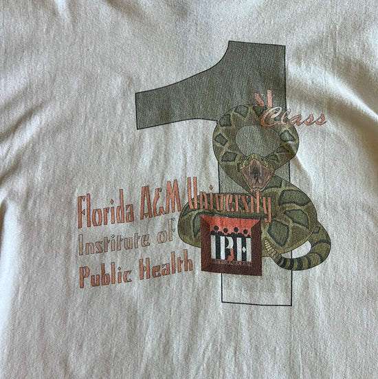 Load image into Gallery viewer, FAMU Public Health Shirt - XL
