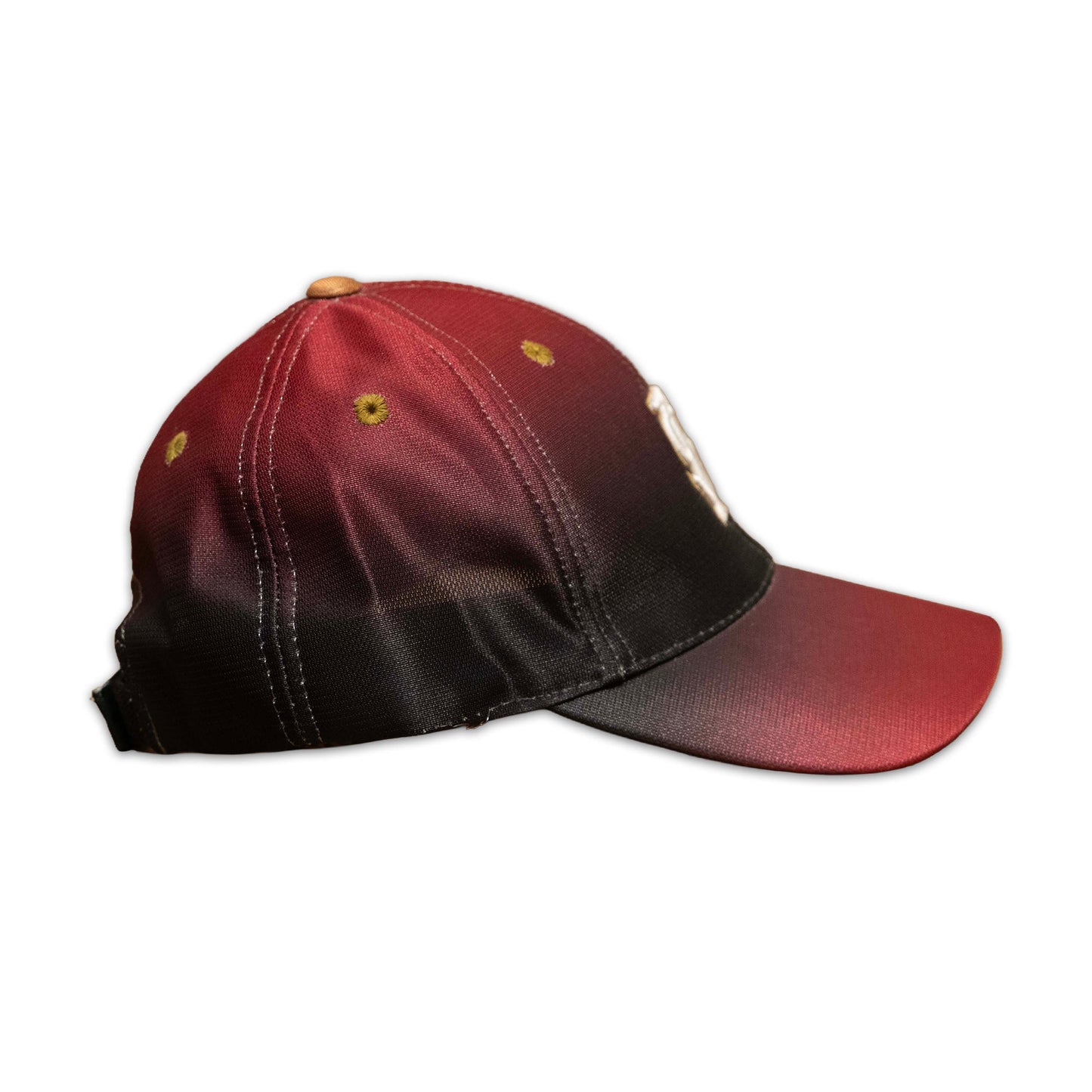 FSU "FS" Gradient Hat
