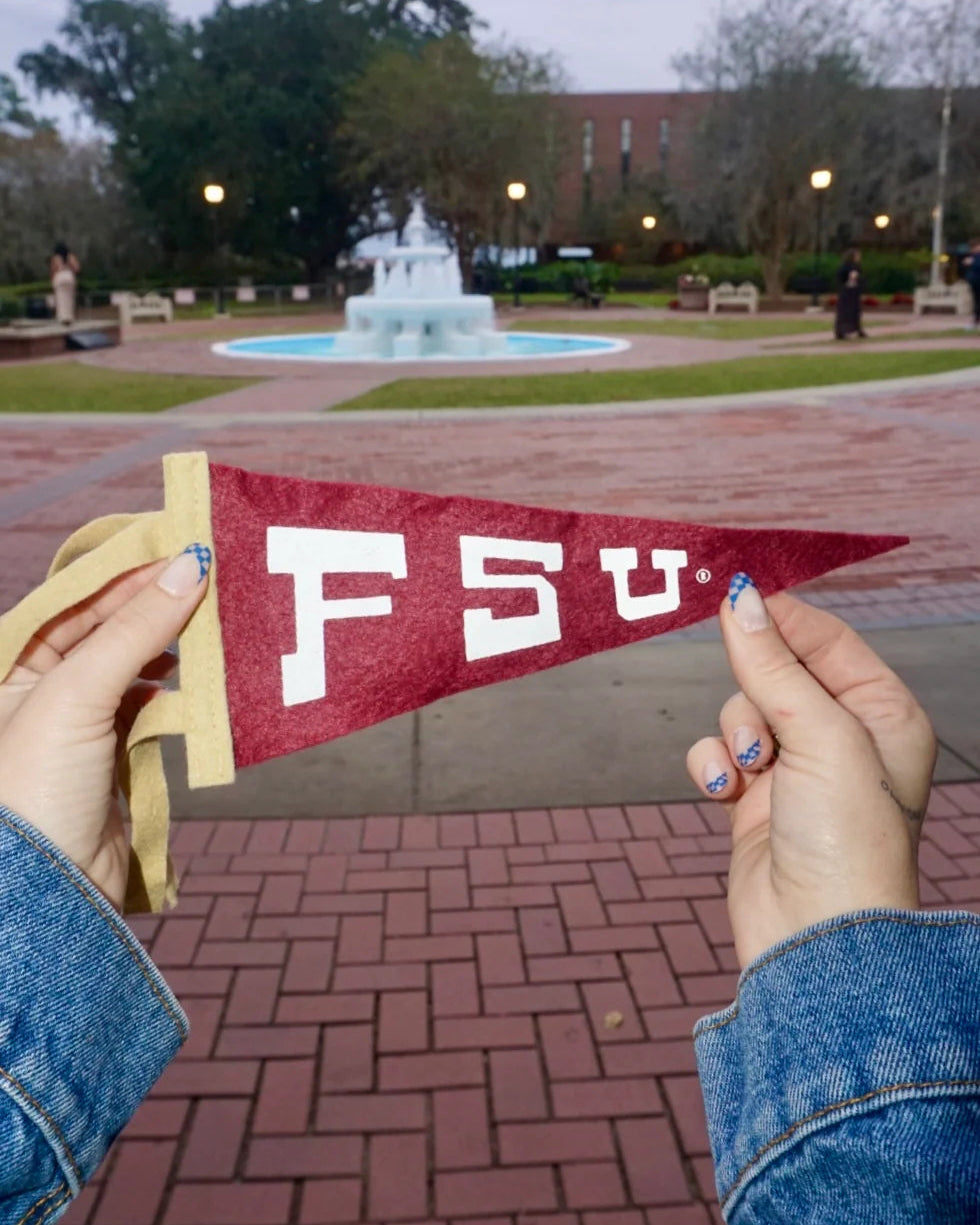 FSU Pennant - Small (AXN)