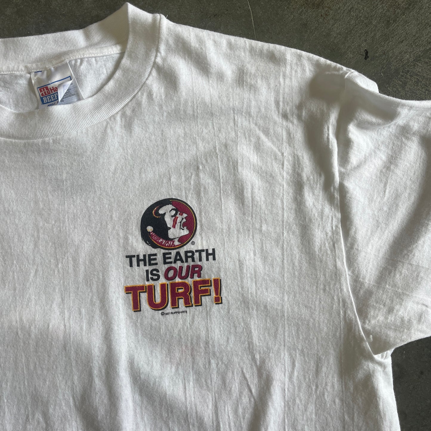 Load image into Gallery viewer, FSU The Earth is Our Turf Shirt
