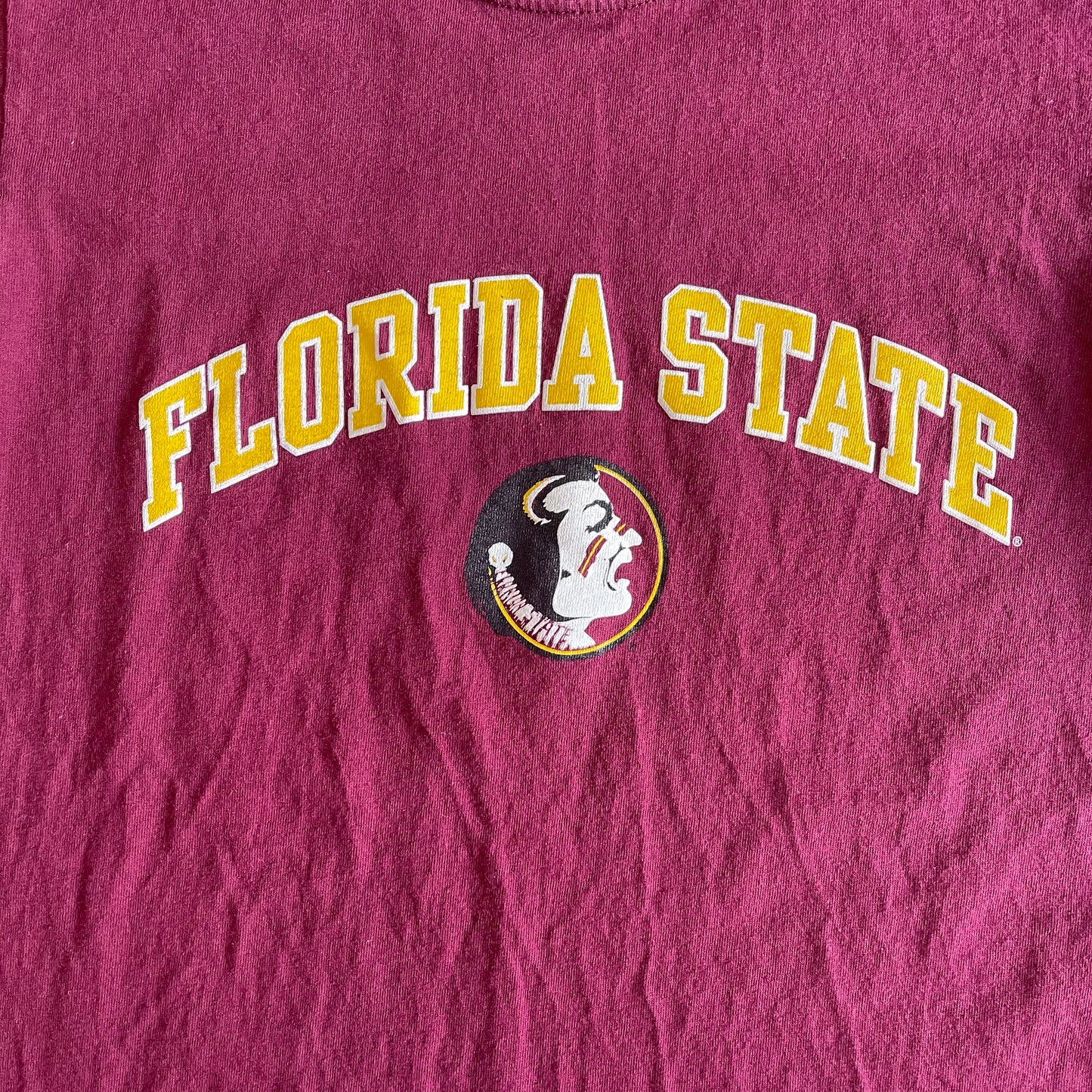 FSU Steve & Barry Shirt