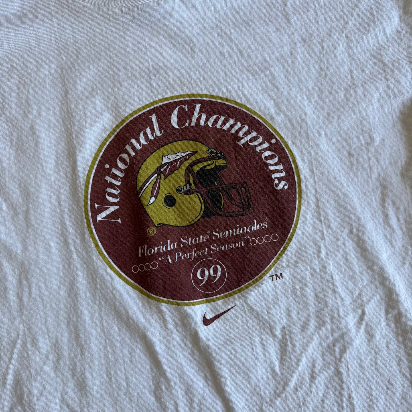 FSU Nike Perfect Season Shirt