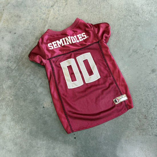 Large Seminoles Pet Jersey