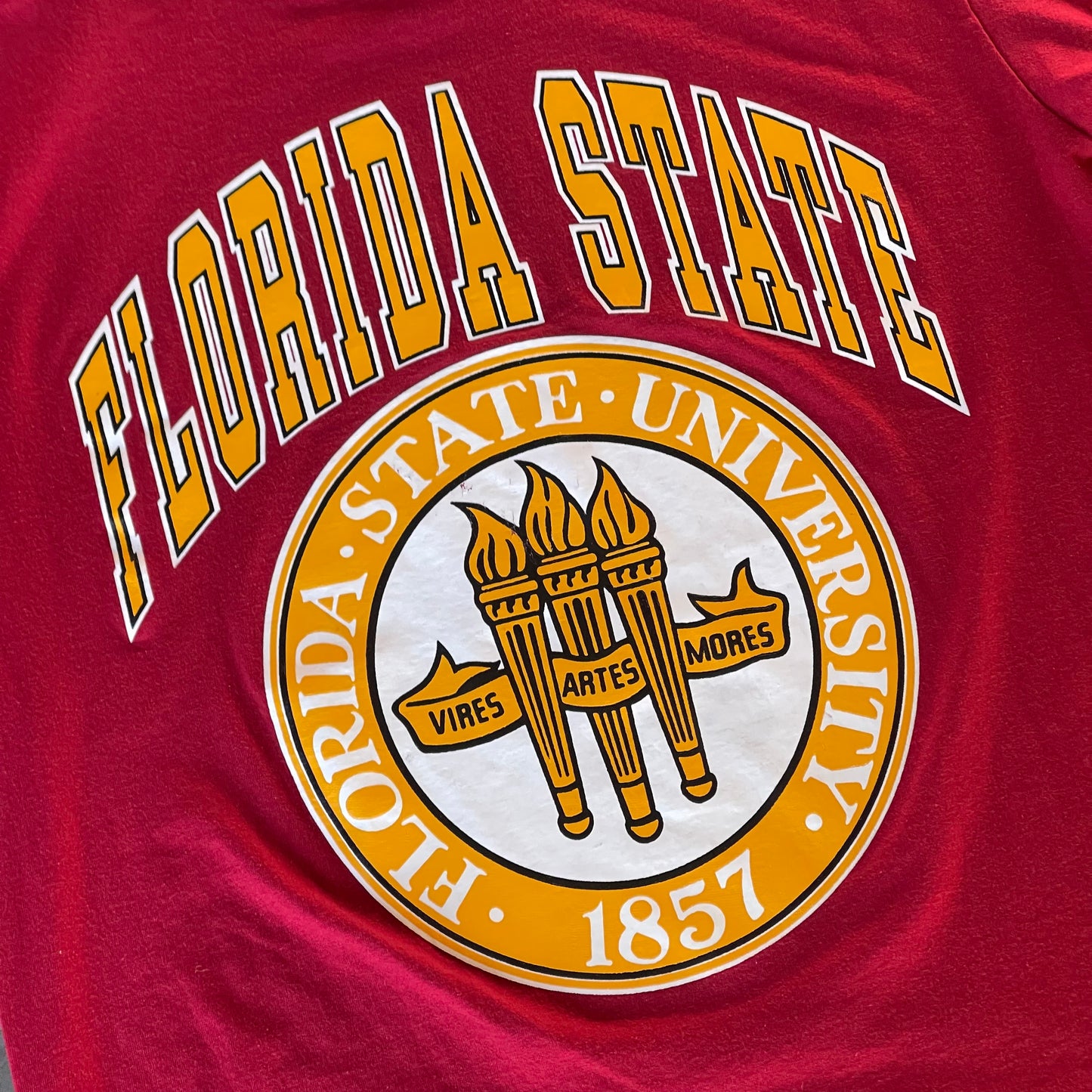 FSU Seal Shirt