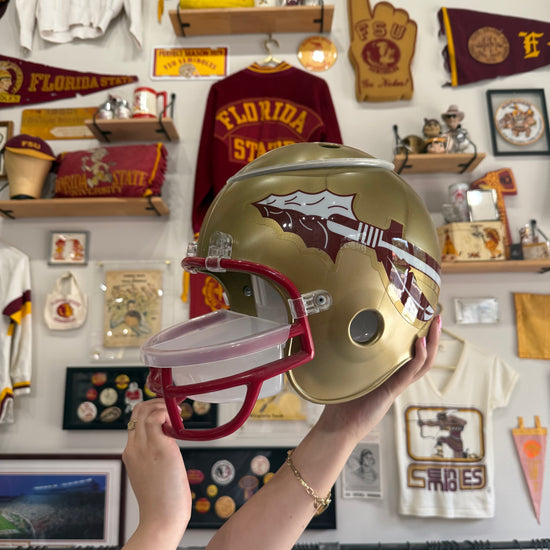 FSU Helmet Chip & Dip Display