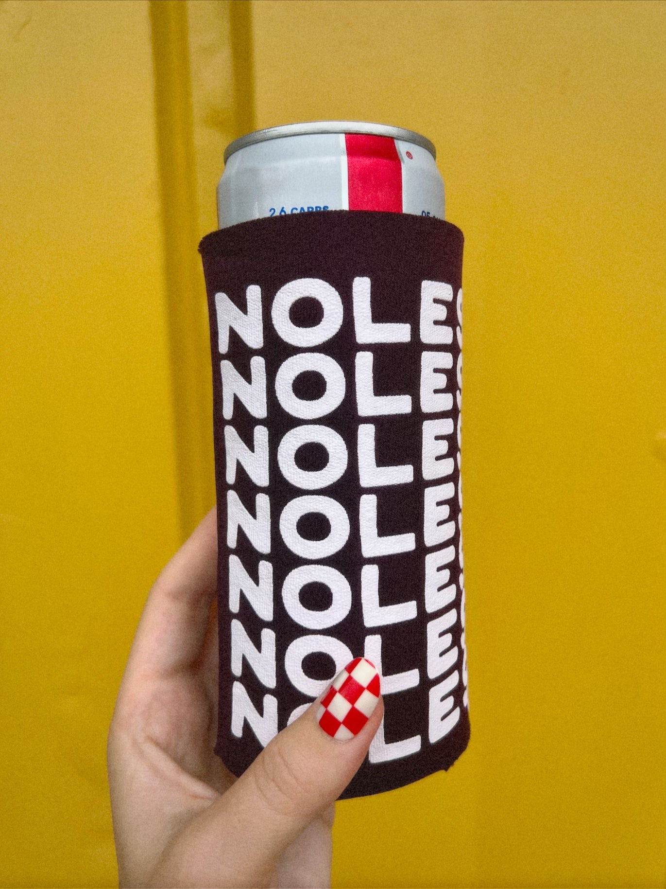 Load image into Gallery viewer, Let’s Go Noles Seltzer Can Cooler (AXN)
