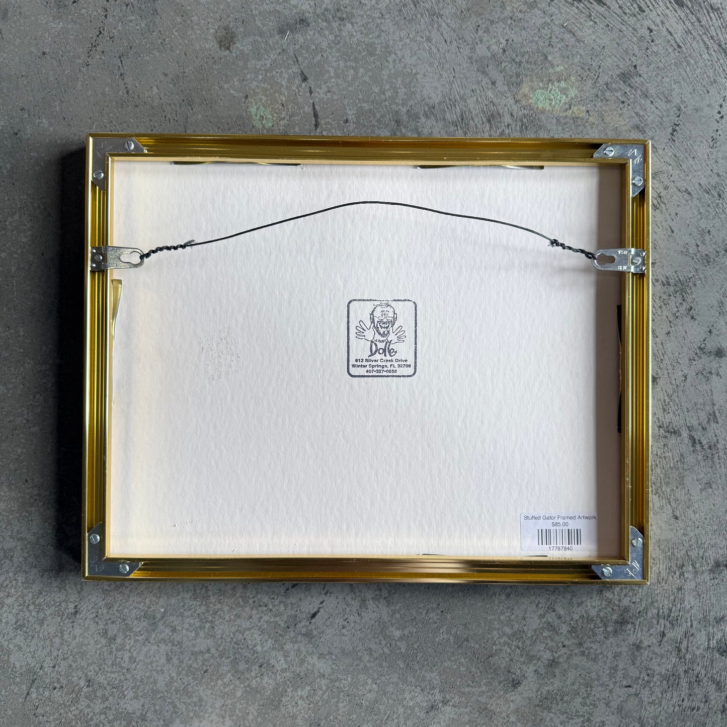 Stuffed Gator Framed Artwork