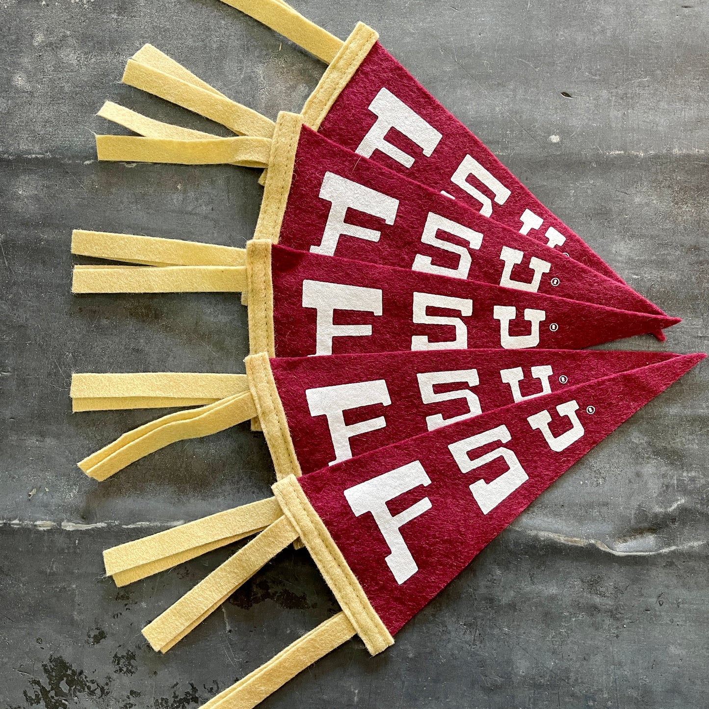 FSU Pennant - Small (AXN)