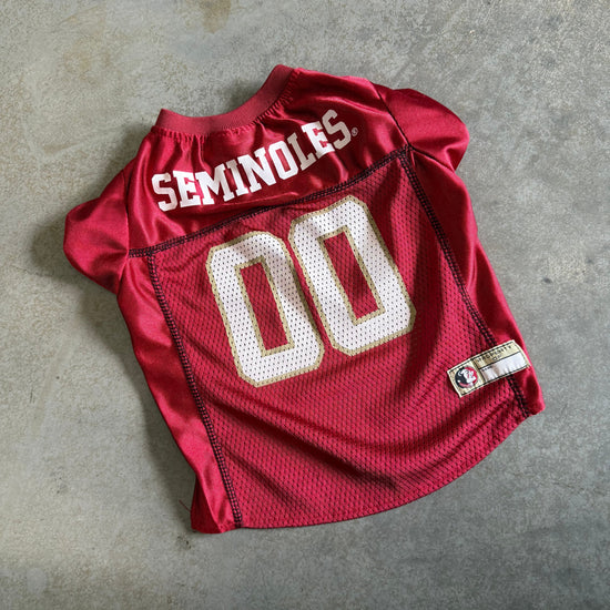 Small FSU Dog Jersey #00