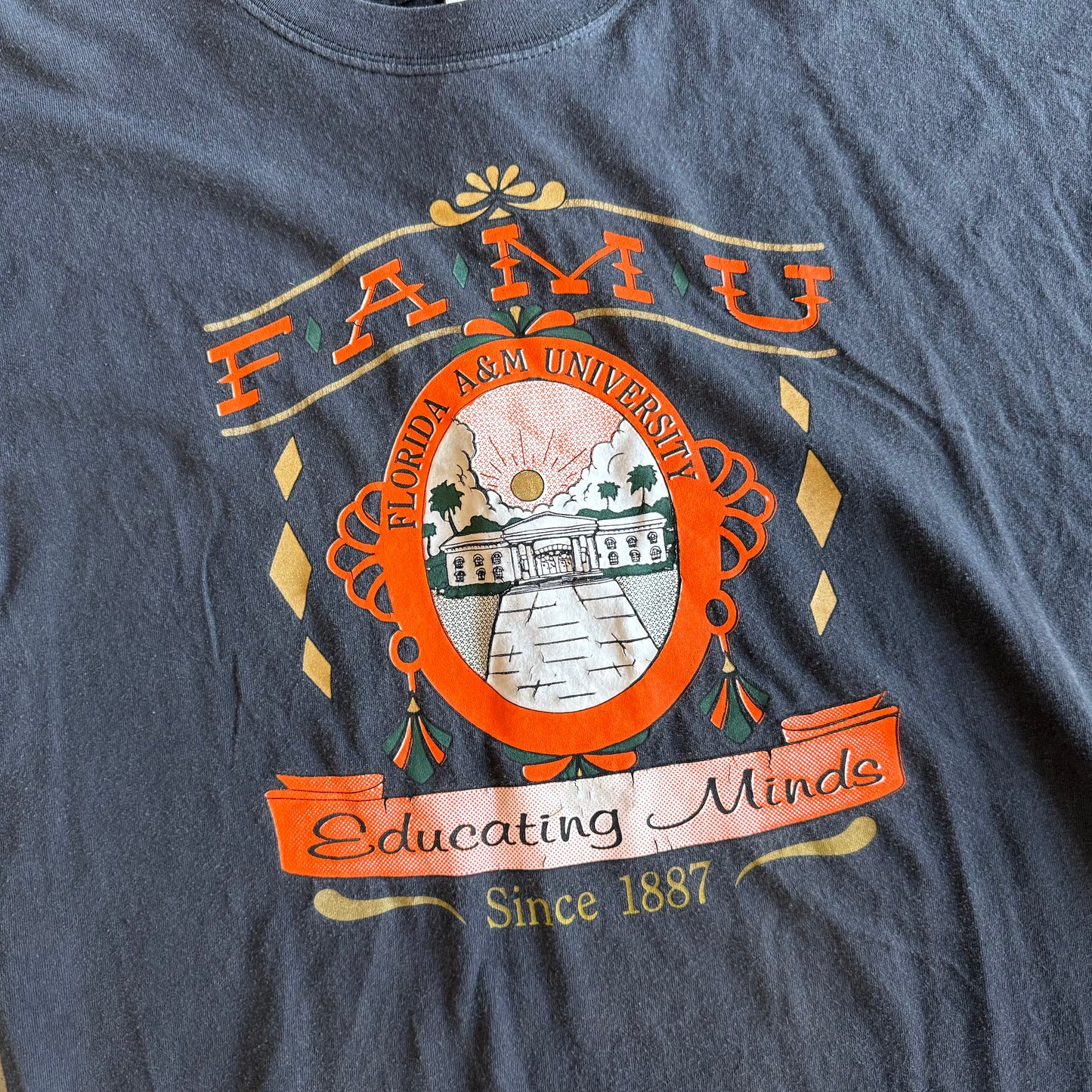 FAMU Educating Minds Shirts