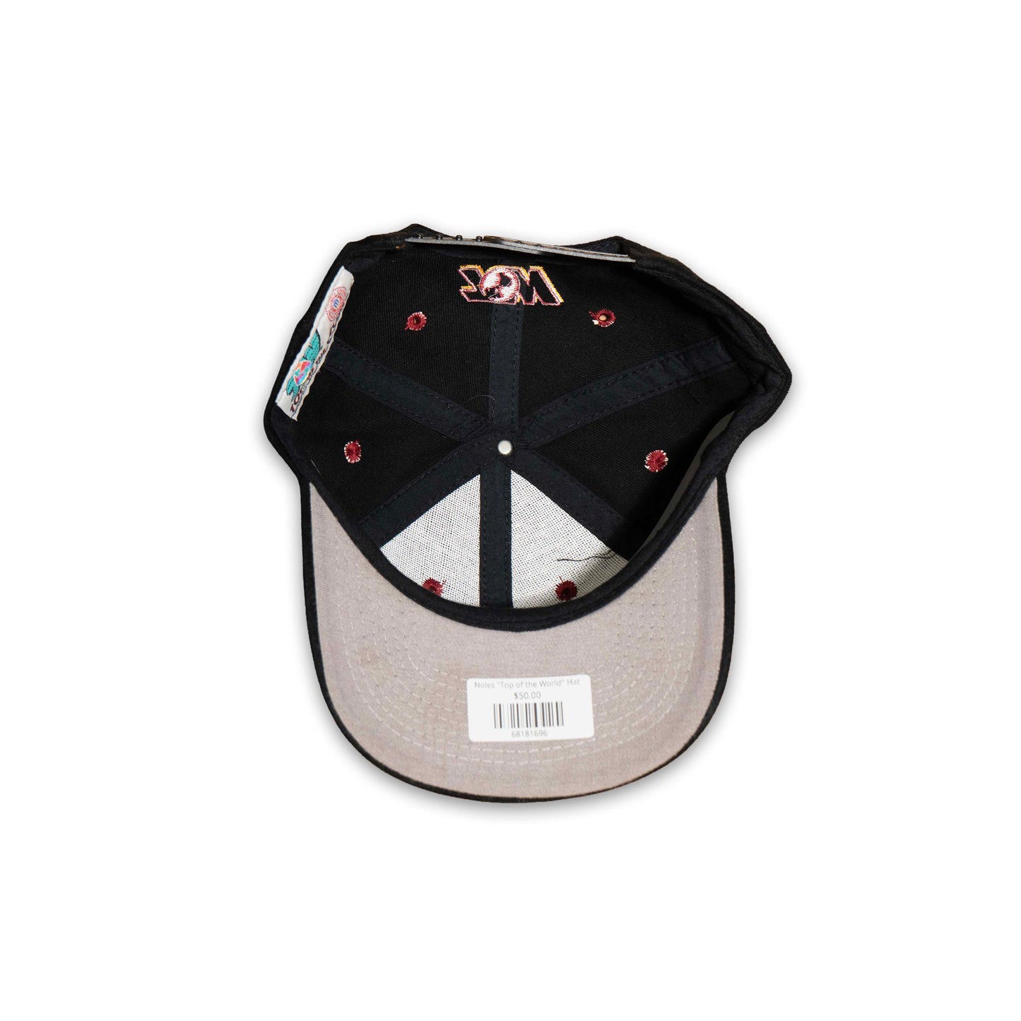 Noles "Top of the World" Hat