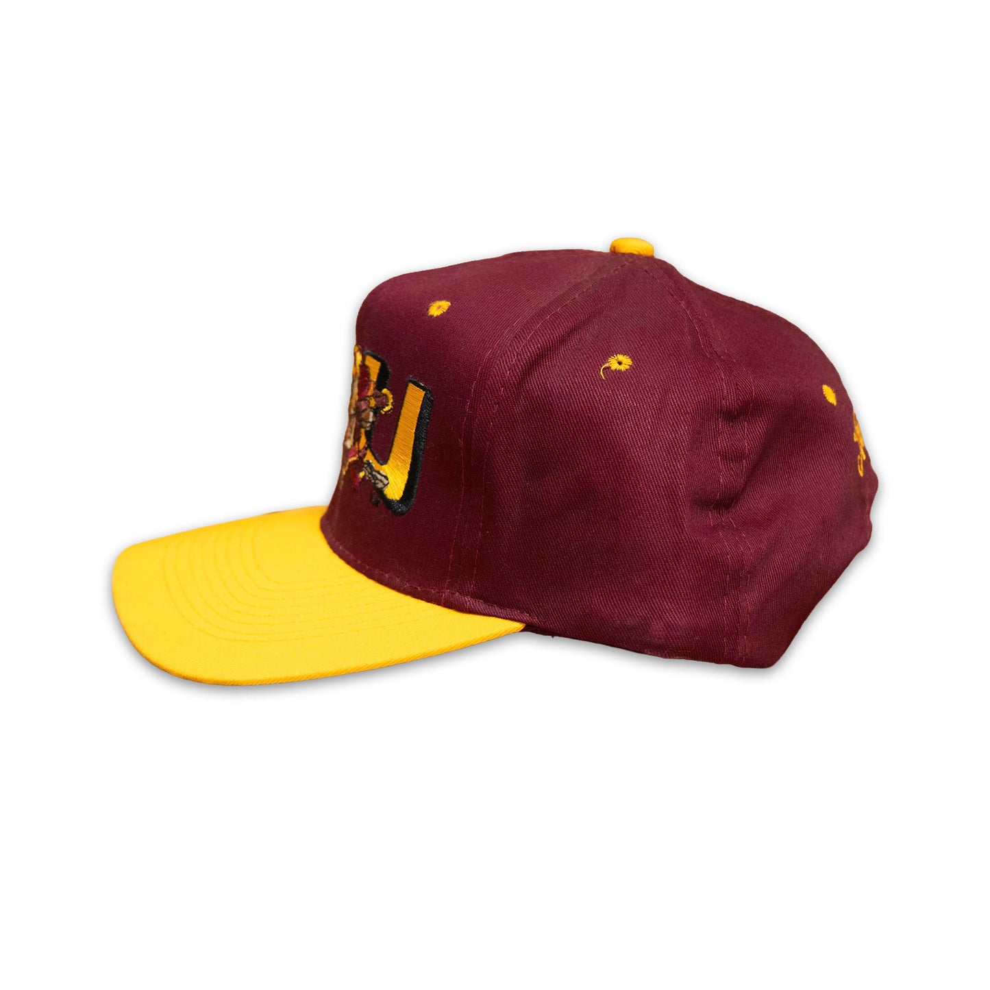 FSU Taz Looney Tunes Hat