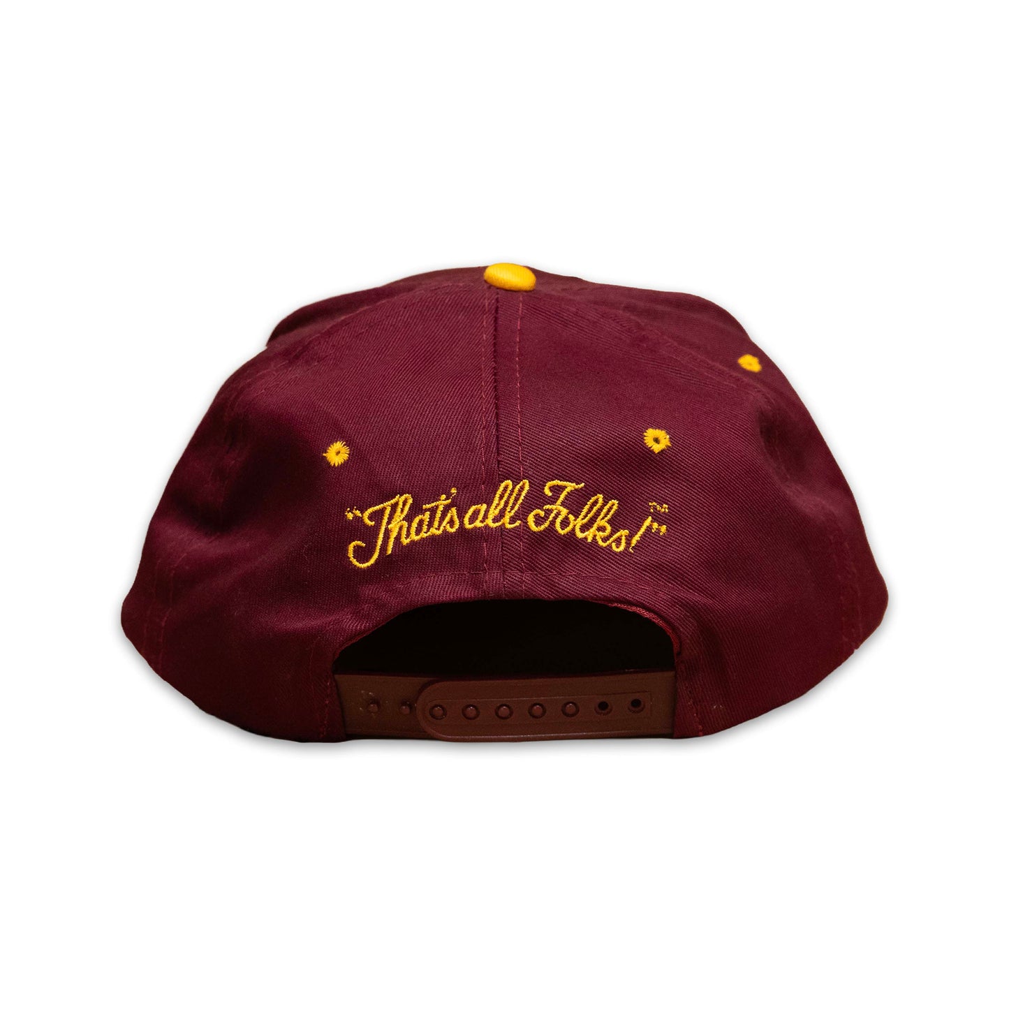 FSU Taz Looney Tunes Hat
