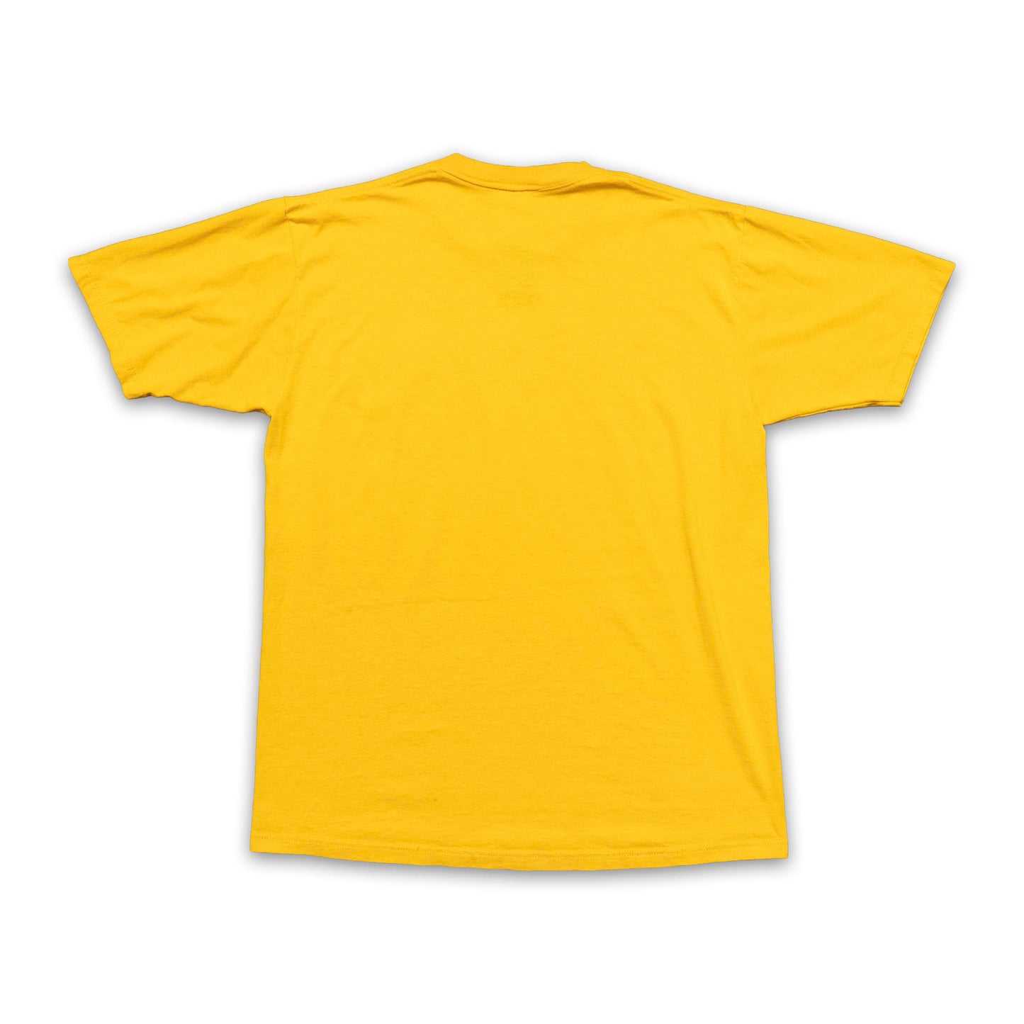 FSU Osceola & Renegade Gold Jerzees Shirt
