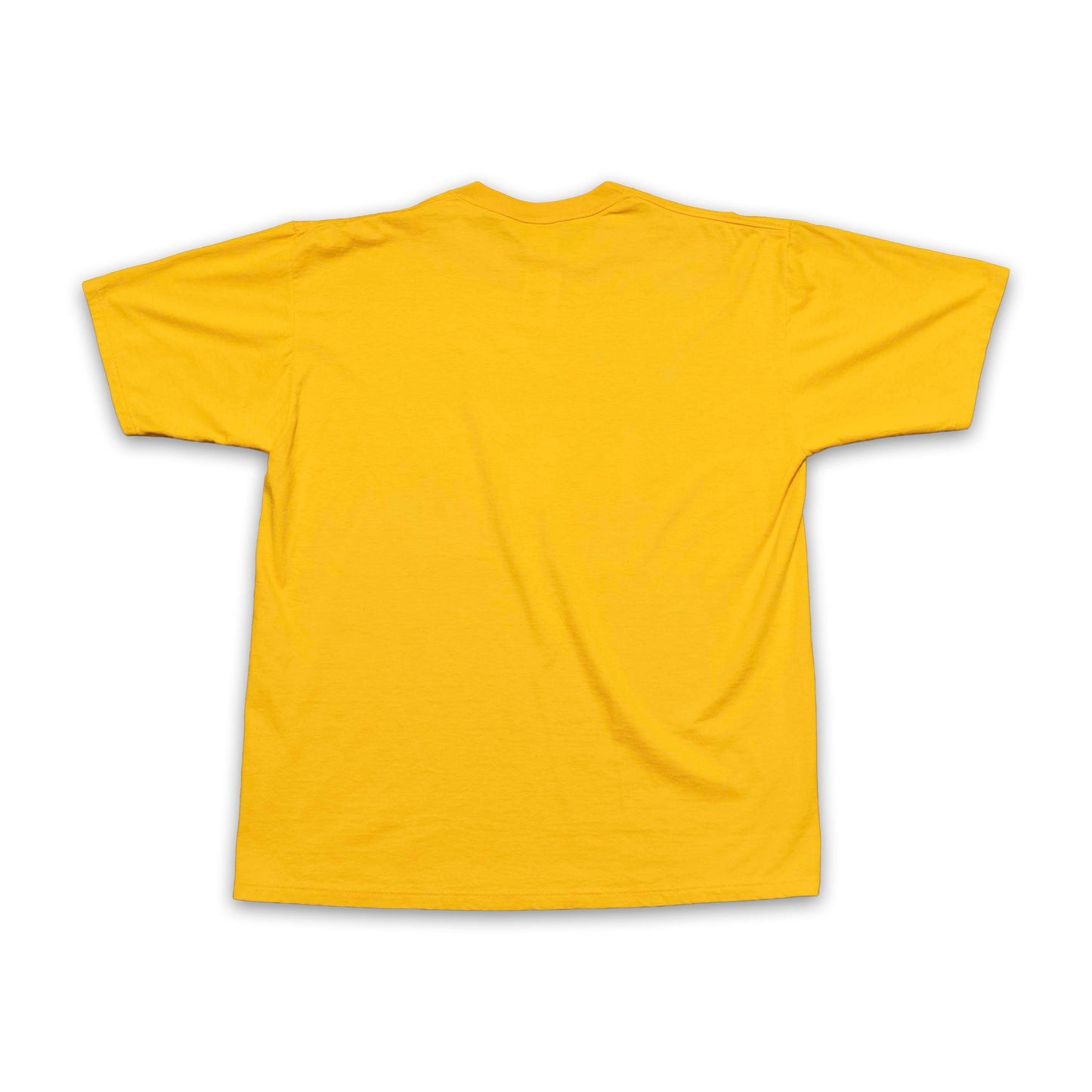 Florida State 1993 National Champions Jerzees Shirt