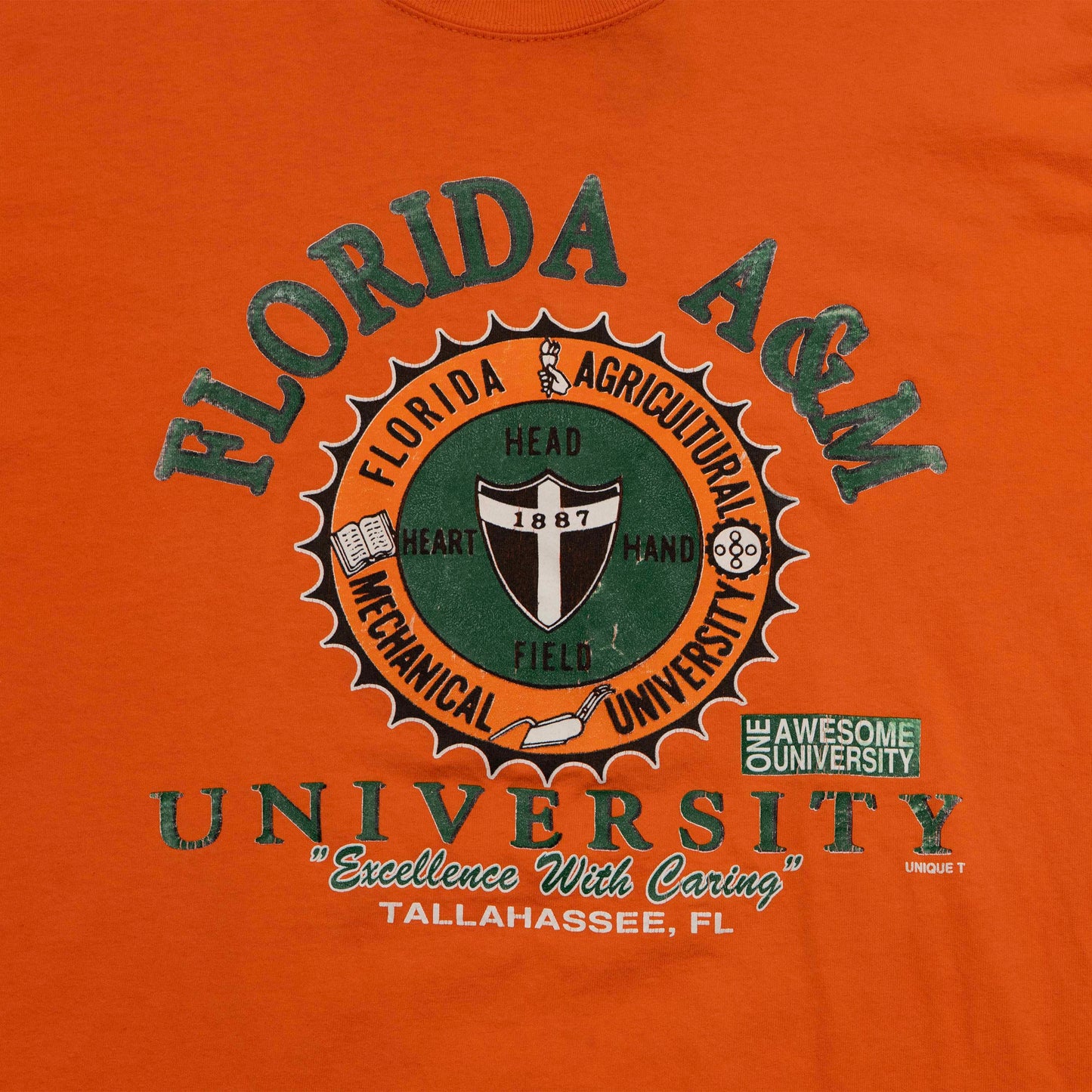 FAMU Excellence with Caring Shirt