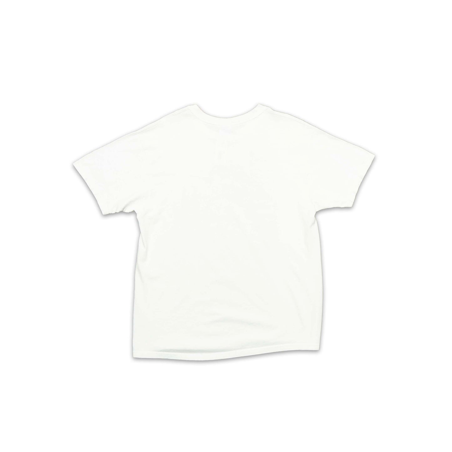 FAMU Hanes Shirt