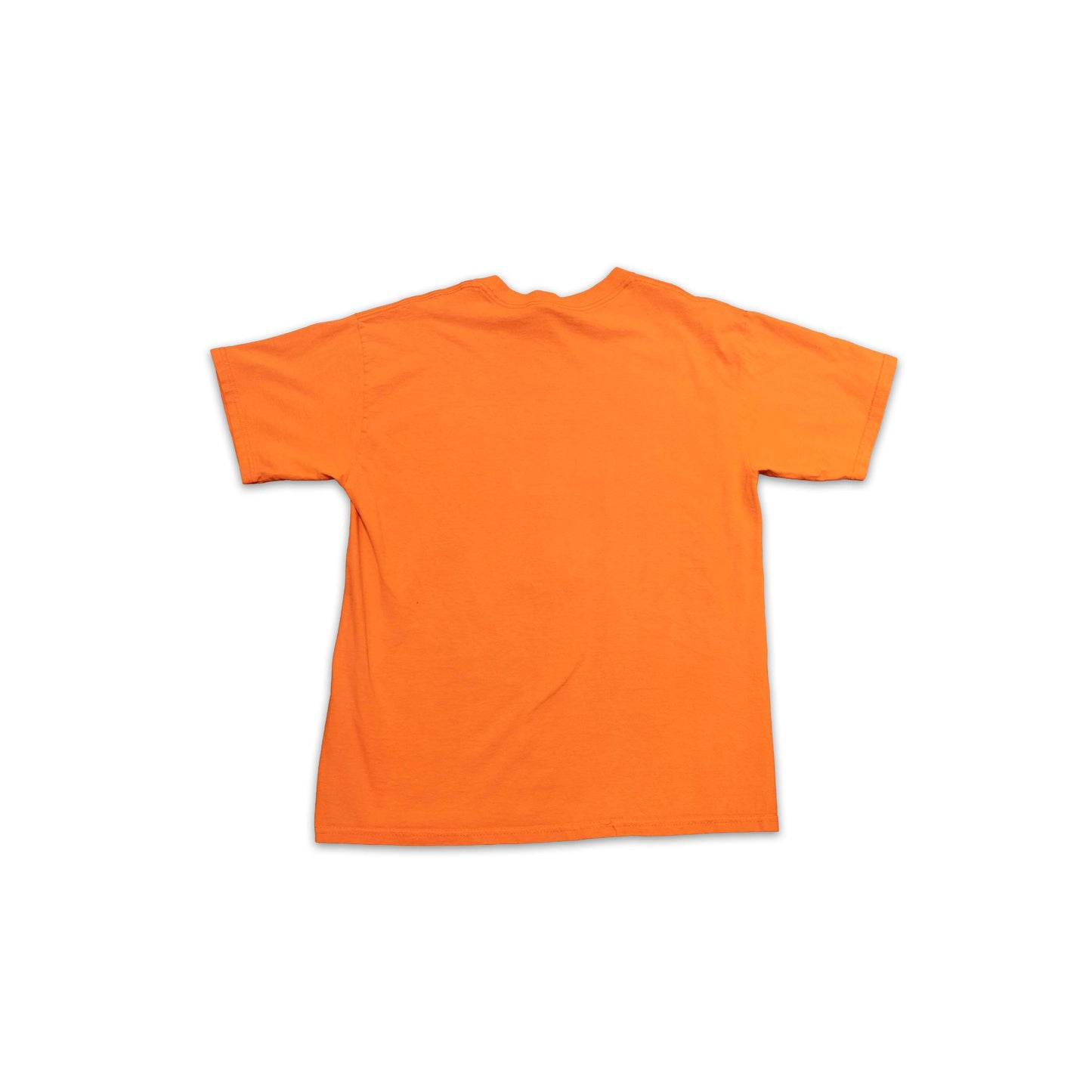FAMU Excellence with Caring Shirt
