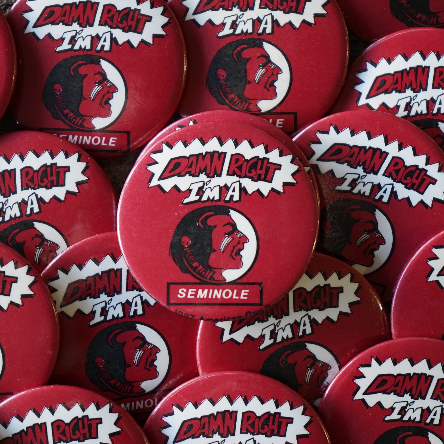 Damn Right I'm a Nole Button