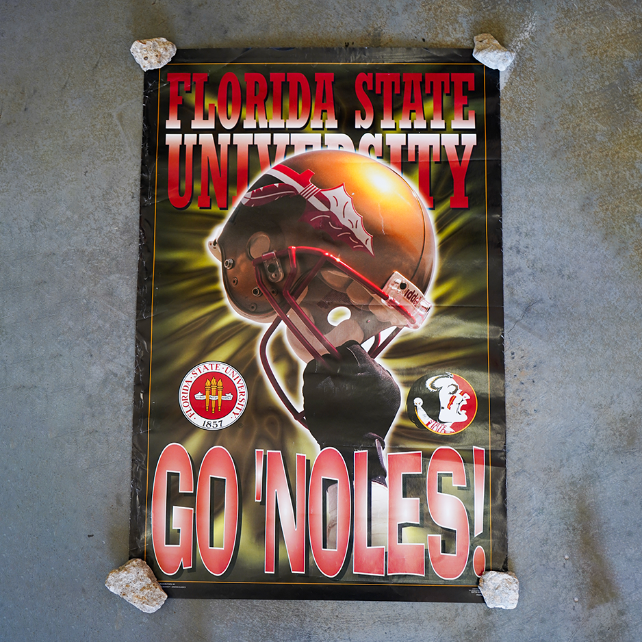Florida State Seminoles Go Noles! Poster