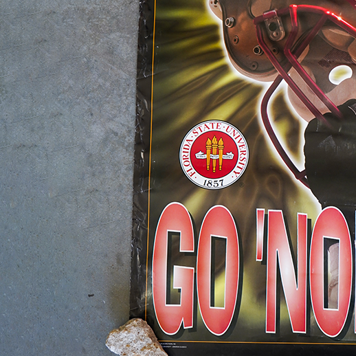 Florida State Seminoles Go Noles! Poster