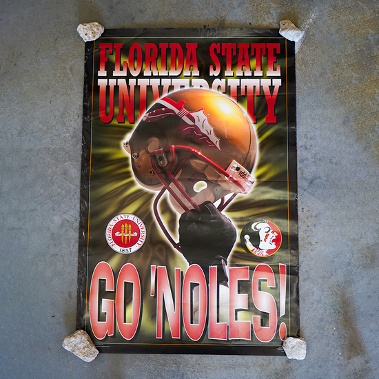 Florida State Seminoles Go Noles! Poster