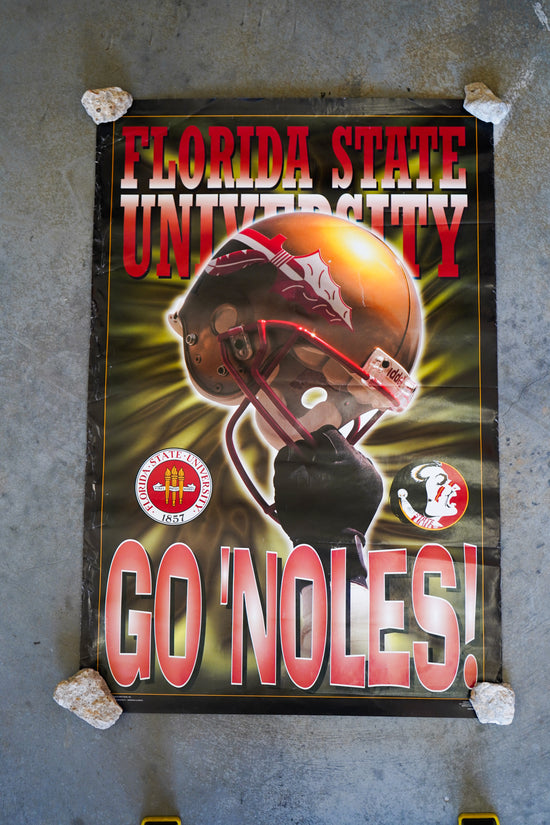Florida State Seminoles Go Noles! Poster